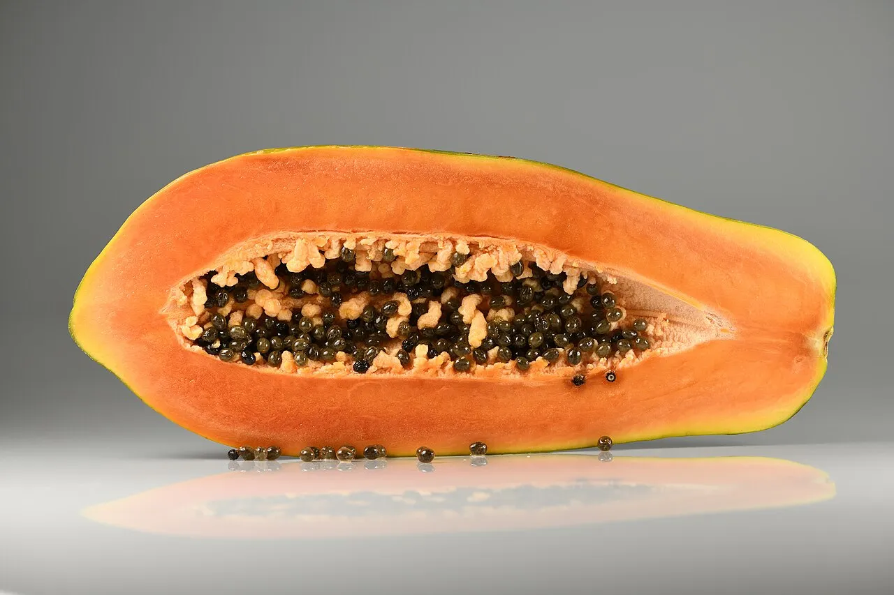 ¿Los perros pueden comer papaya?